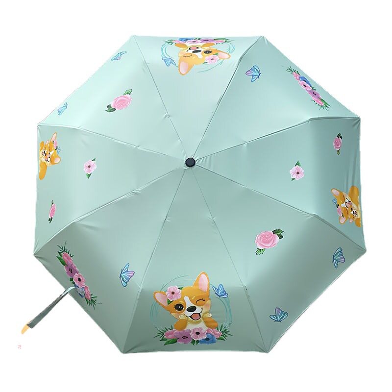https://fulmo-img-server.com/rainy-pocket/3a0c7733-14cb-49a3-bd3b-cc618fc6f5e4.jpg