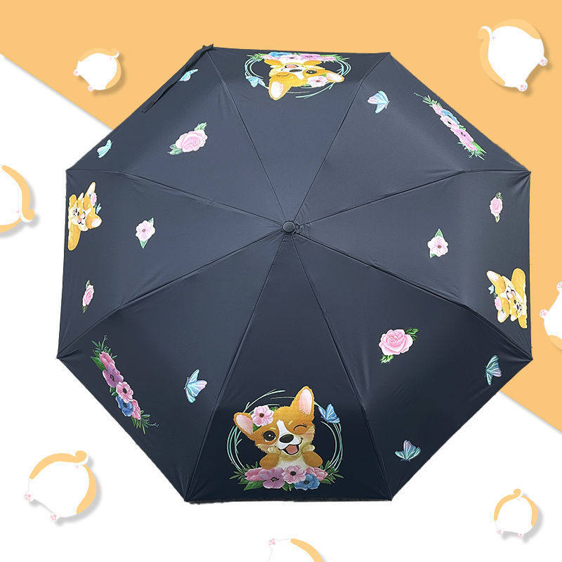https://fulmo-img-server.com/rainy-pocket/4a7e0594-d1df-49ca-a8ac-01a601141f43.jpg