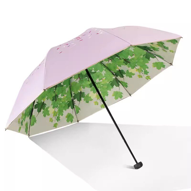 https://fulmo-img-server.com/rainy-pocket/4dd041e5-1174-49bb-937c-09068e058675.jpg