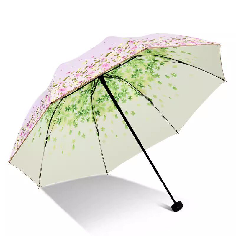 https://fulmo-img-server.com/rainy-pocket/56c05065-b7b0-4408-a10e-159862a8579b.jpg