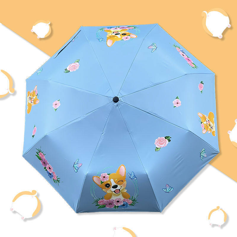 https://fulmo-img-server.com/rainy-pocket/81915f9a-e7d6-4a9d-b6b4-51354ac872c1.jpg