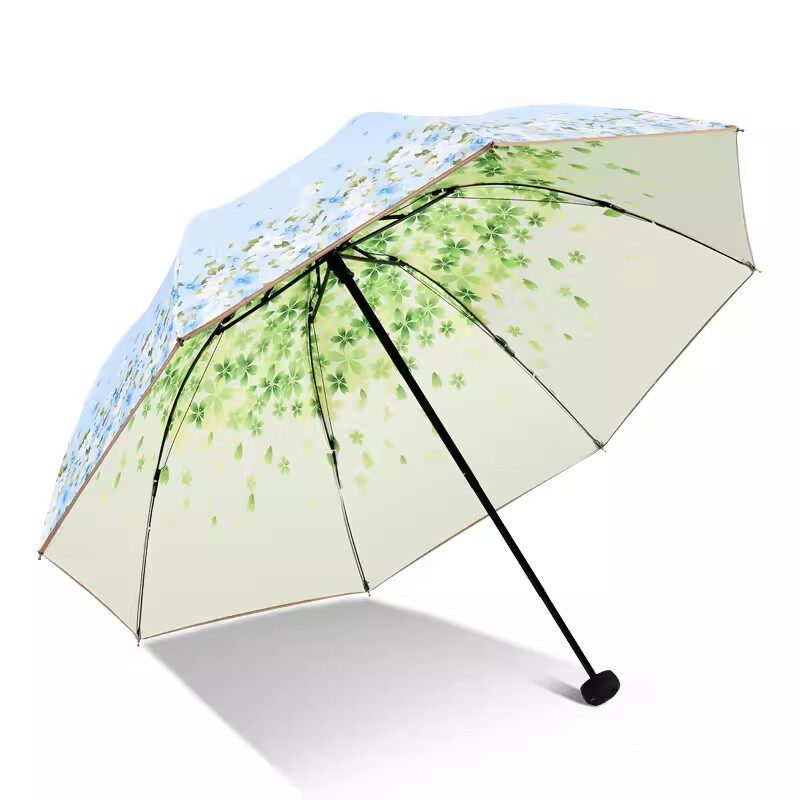https://fulmo-img-server.com/rainy-pocket/f4482ec7-32c2-4ba8-8437-20b1011af494.jpg