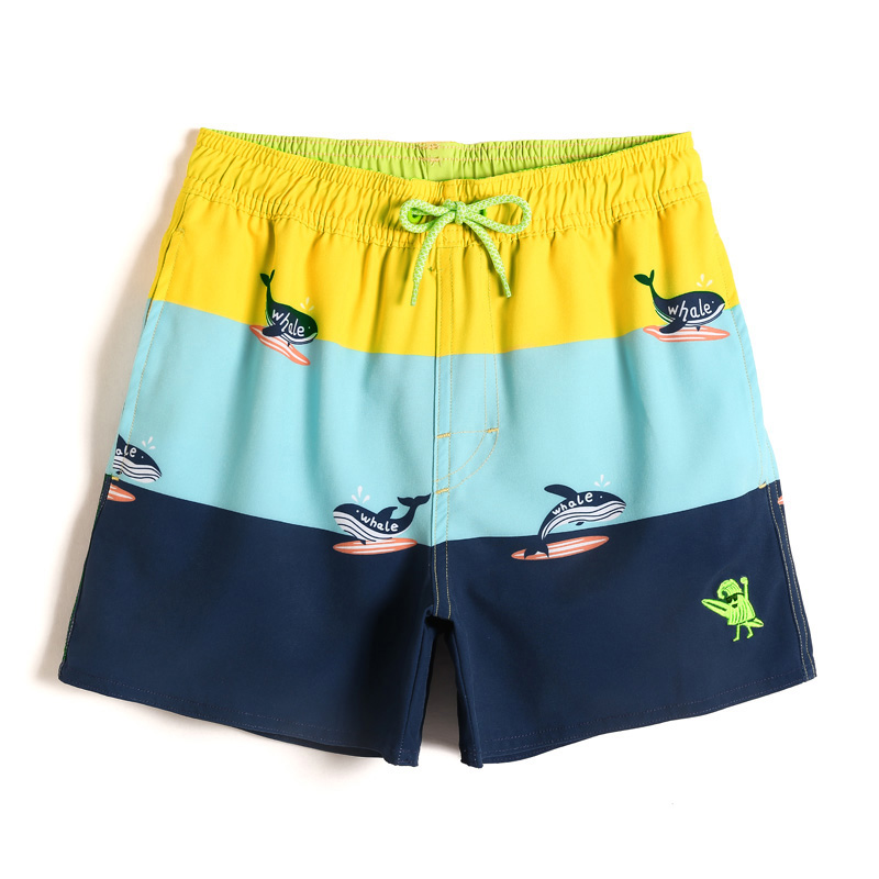 ラッシュガード くじらと波乗り キッズ水着ショーツ