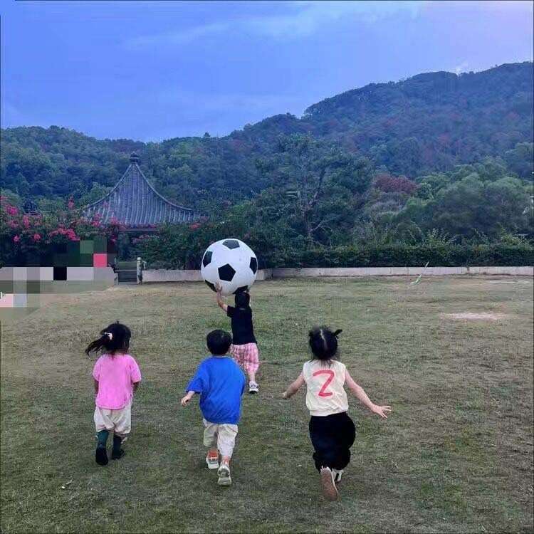 サッカーボール 巨大 遊び