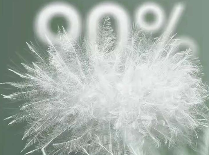 https://fulmo-img-server.com/schlaf-markert/1730993405482_n7ga7zom_cropped.jpg