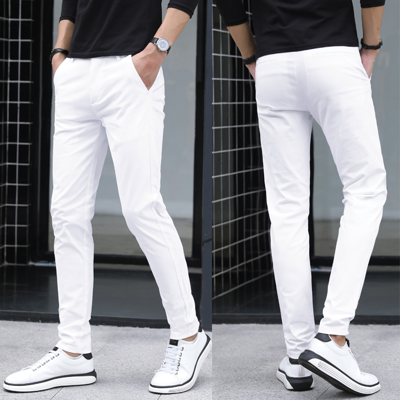 https://fulmo-img-server.com/shiropanstore/26c9d86a-c94d-44e5-9925-cb344c6df3dd.jpg