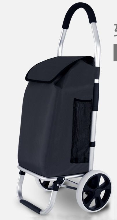 https://fulmo-img-server.com/silvercar-land/1782441743297_tdh1m4fn_qn2zg5l0.jpeg