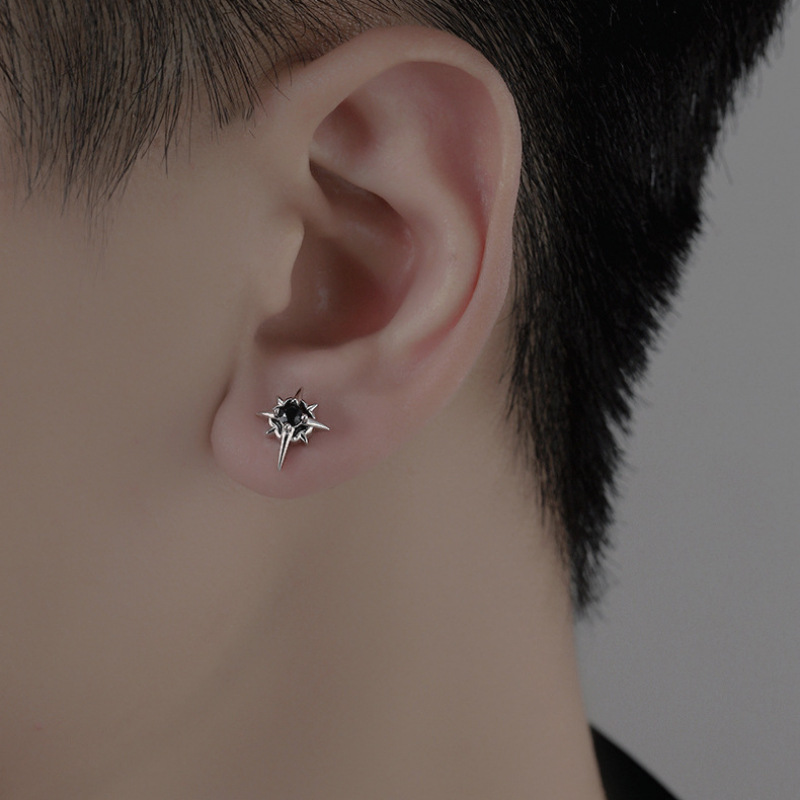 シルバーアクセサリー 北極星の輝きピアス