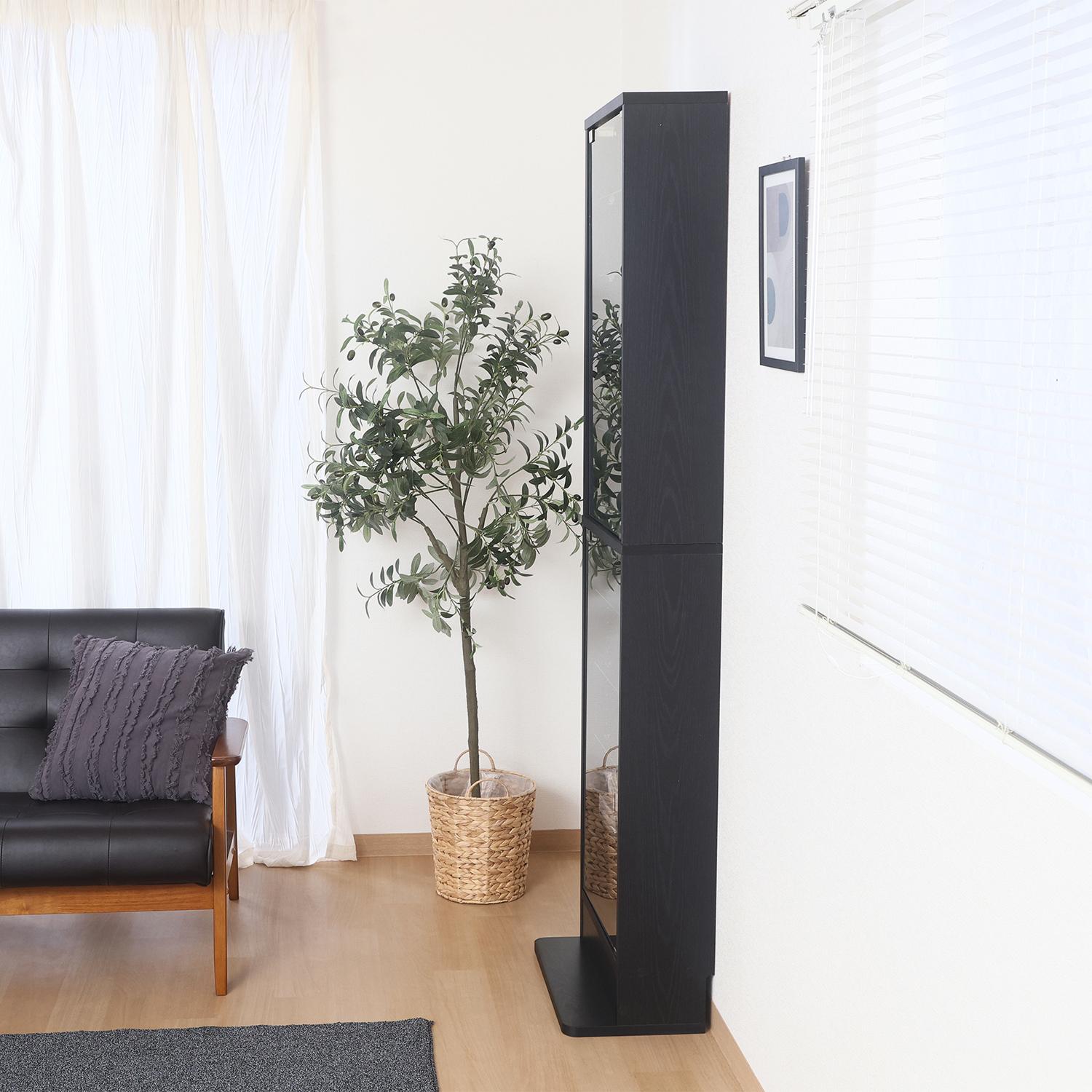 グッズ収納 薄型ハイタイプ背面鏡付きディスプレイケース黒