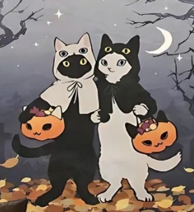 https://fulmo-img-server.com/tapestol/1781584673238_nzxp95nb_k5qjg4m8.jpeg