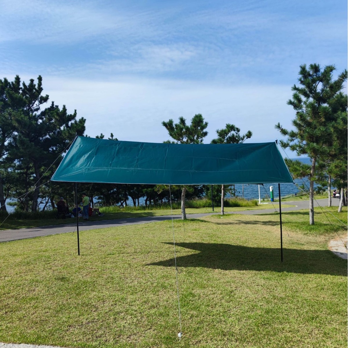 タープ 大型六角形防水タープ 張り綱付き耐久仕様