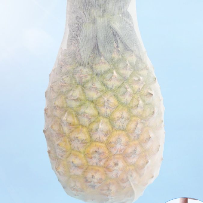 https://fulmo-img-server.com/tightsi/1750606149110_xm3dmble_a9sw6hin.jpeg