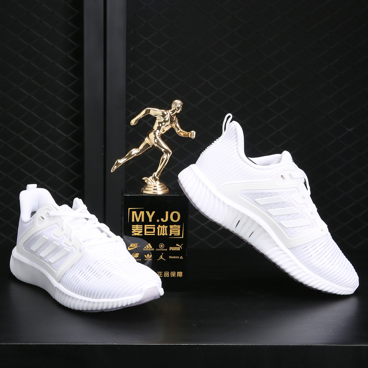 https://fulmo-img-server.com/trail-shoes/68c38731-f1b2-4309-81bf-f283e53c1206.jpg