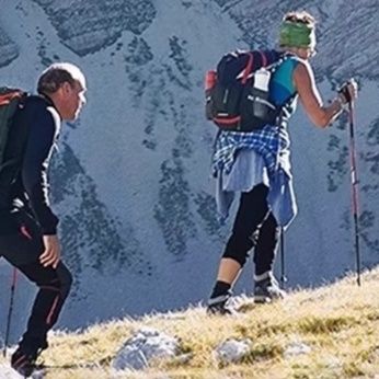 杖 弾力減震プロテクト登山杖