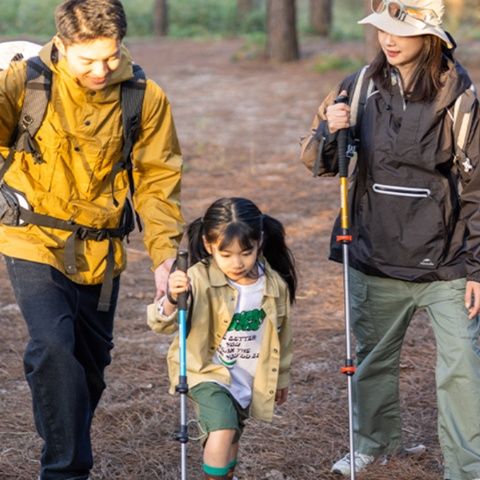 杖 三段伸縮家族登山杖