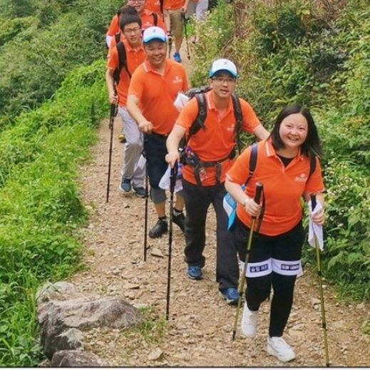 杖 超軽量折りたたみ式夜光登山杖