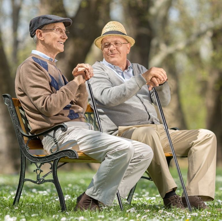 折り畳み式5段階調節機能付きウォーキング杖