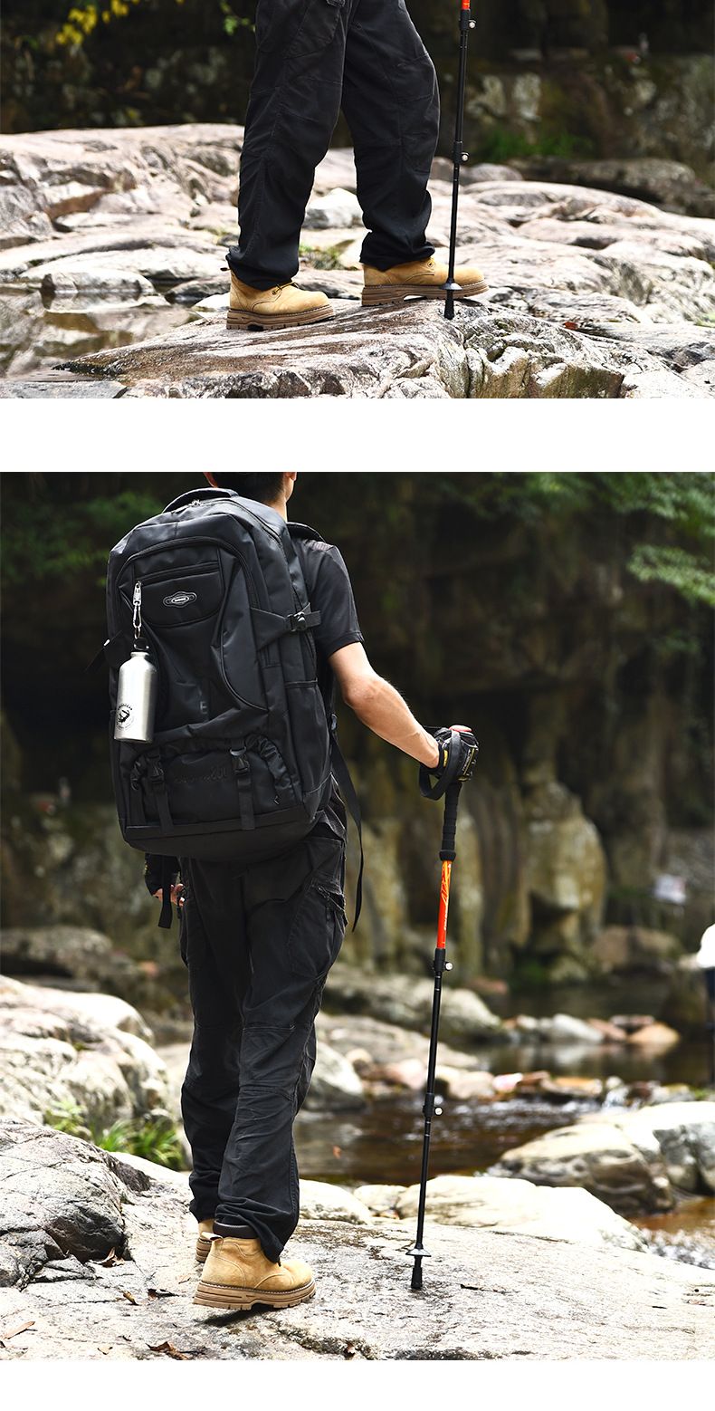 杖 岩場マスター 伸縮式登山杖