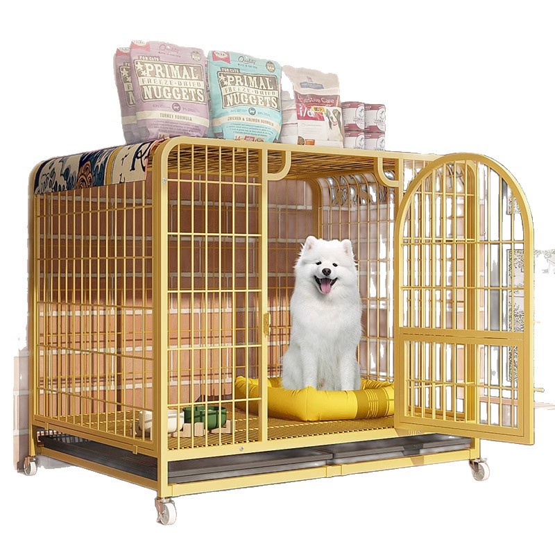 https://fulmo-img-server.com/wancage/0286b5d4-2dca-4855-8465-106ff1c4899e.jpg