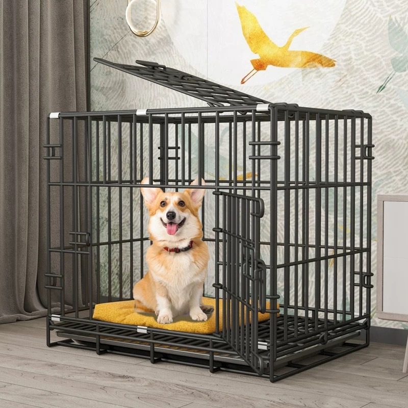https://fulmo-img-server.com/wancage/1552a161-e92a-4995-b5e1-08b8cf7ed4e1.jpg