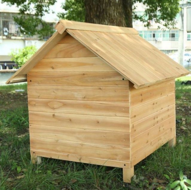 https://fulmo-img-server.com/wancage/1784025062915_npf3d00y_sz3hbnpa.jpeg