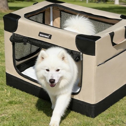 https://fulmo-img-server.com/wancage/1786525680028_ct93ik2s_ly7bmsfk.jpeg