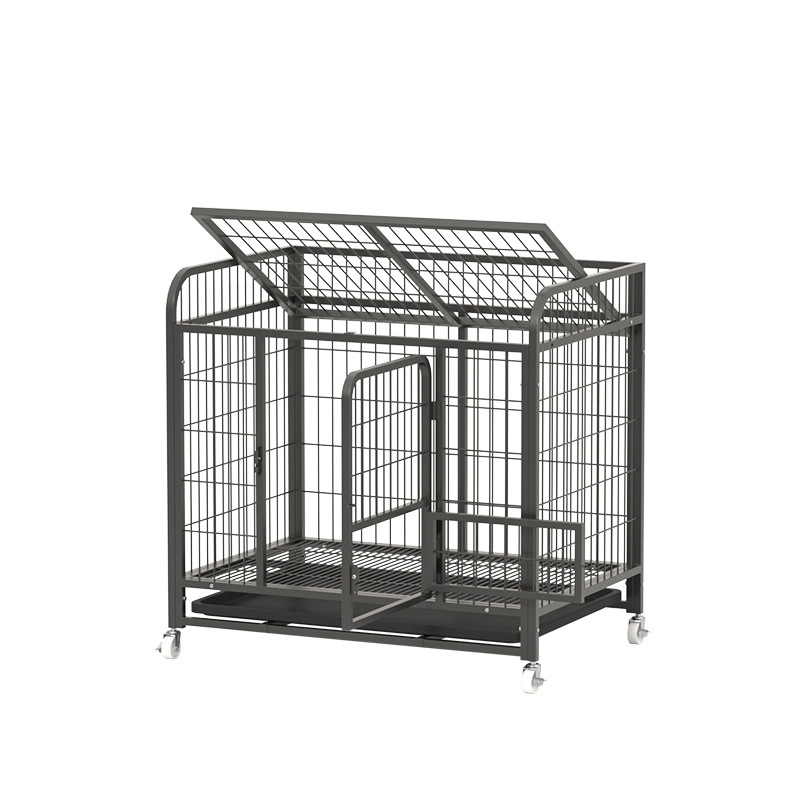 https://fulmo-img-server.com/wancage/35bc463b-3427-4f1a-8fda-9e8c75f1fdbf.jpg