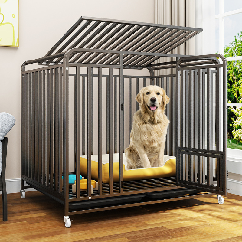 https://fulmo-img-server.com/wancage/5ad3d736-8aa9-4cee-b0c5-ff3becf68bf9.jpg