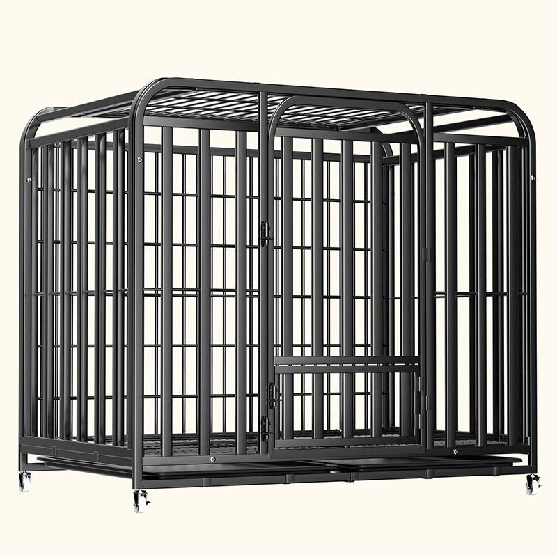https://fulmo-img-server.com/wancage/774a594e-eb53-4e33-bf19-3936c3afbecc.jpg