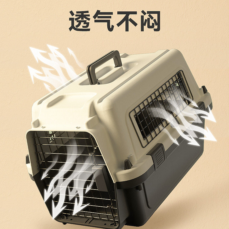 https://fulmo-img-server.com/wancage/ce4ff5b9-0e82-4733-9381-135a0a950427.jpg