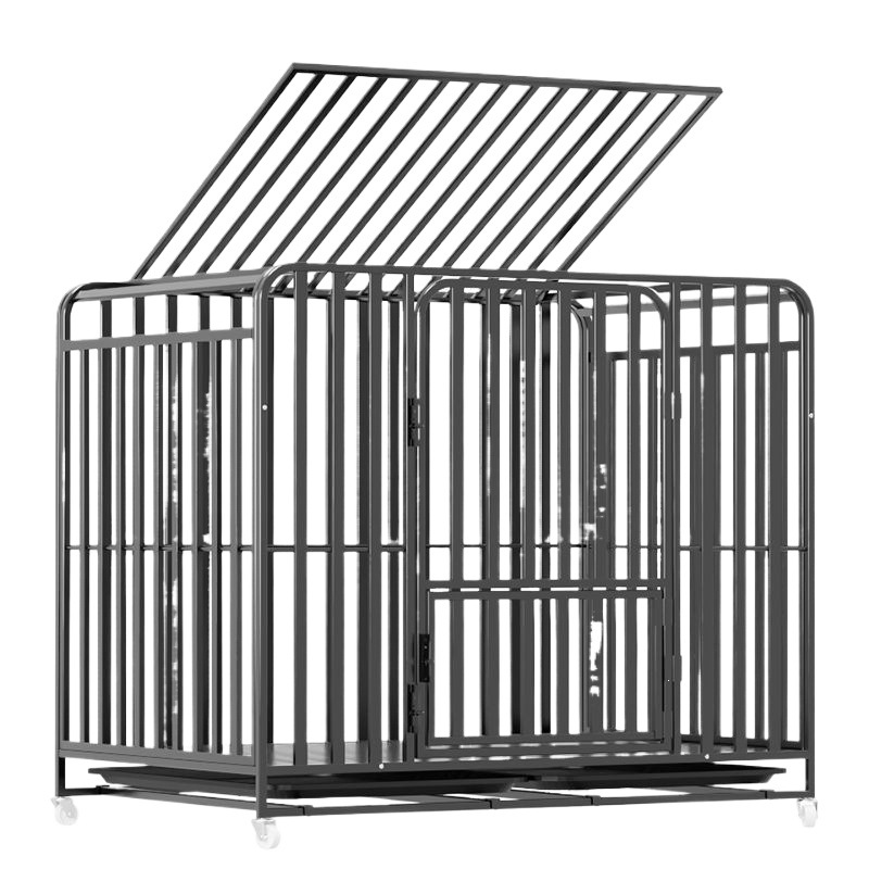 https://fulmo-img-server.com/wancage/cf73727b-5c14-4b2d-b424-a92159bef89d.jpg
