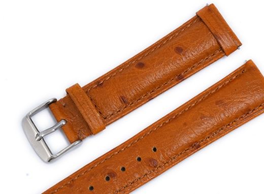 https://fulmo-img-server.com/watchbelt-lab/1760947377231_98q454ry_2wal9cf5.jpeg