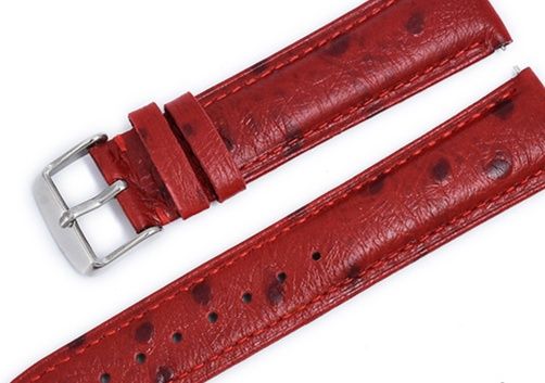 https://fulmo-img-server.com/watchbelt-lab/1760947391446_p0v4n8k2_hsy3nhz5.jpeg