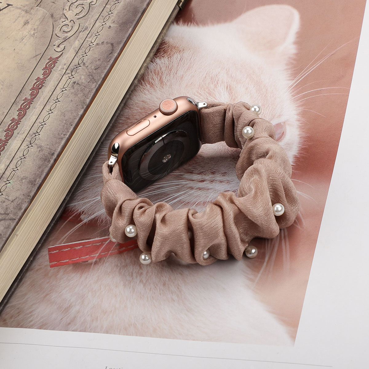 https://fulmo-img-server.com/watchbelt-lab/38b831d2-ce6d-4a04-bf85-2f6802eed1da.jpg