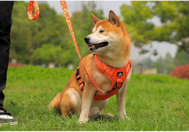 犬 ハーネス やさしさ包む 四季の散歩ハーネス