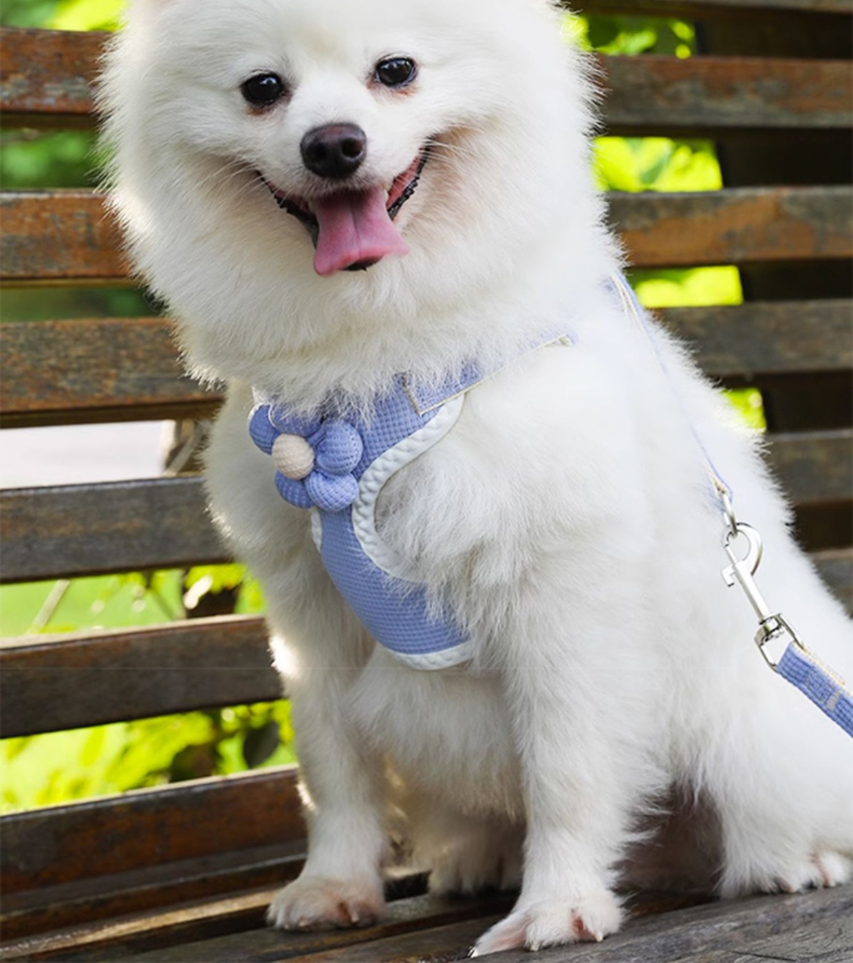 犬 ハーネス おしゃれ小花ハーネス・リードセット