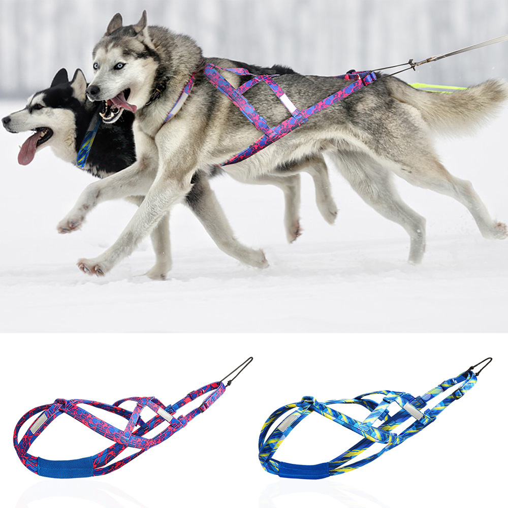 犬 ハーネス 雪山ドッグスポーツハーネス