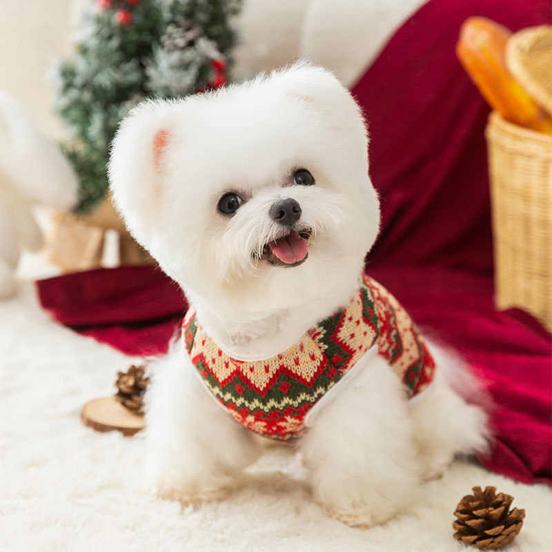 犬 ハーネス 冬の装い ニット風ハーネス