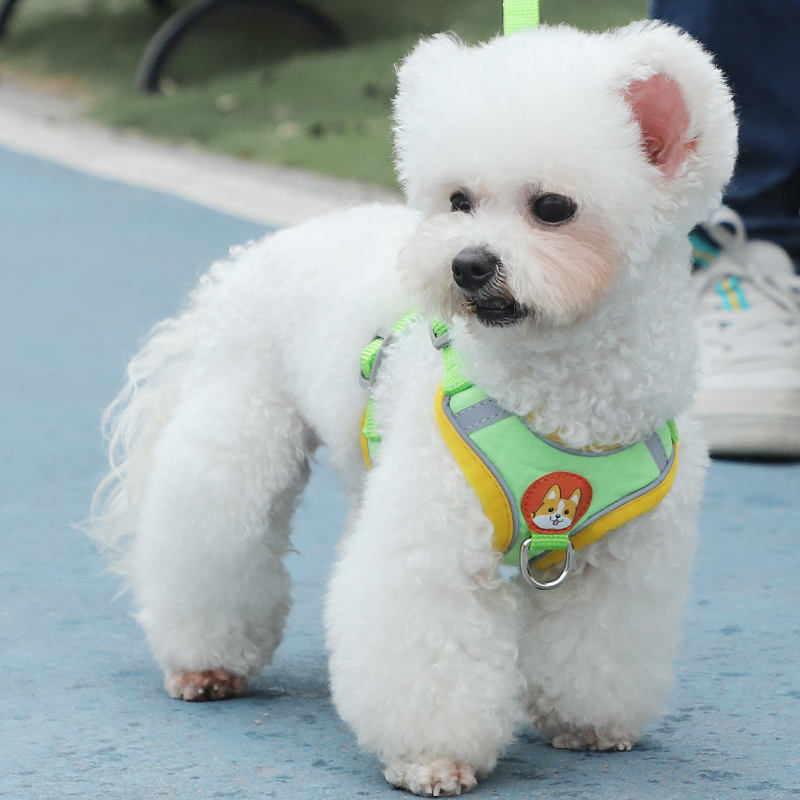 犬 ハーネス 子犬もデザインもわんぱくハーネス
