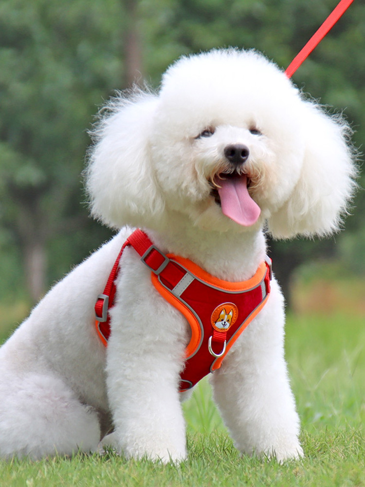犬 ハーネス やわらか安心ハーネス
