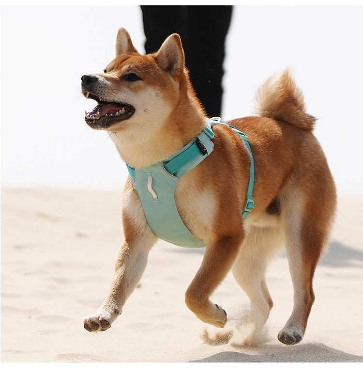 犬 ハーネス なめらか軽量フィット ハーネス