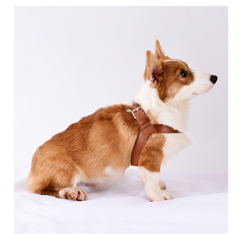 犬 ハーネス 職人の手作り上質ハーネス