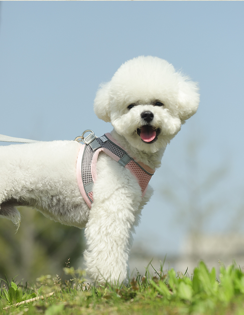 犬 ハーネス なめらかメッシュハーネス
