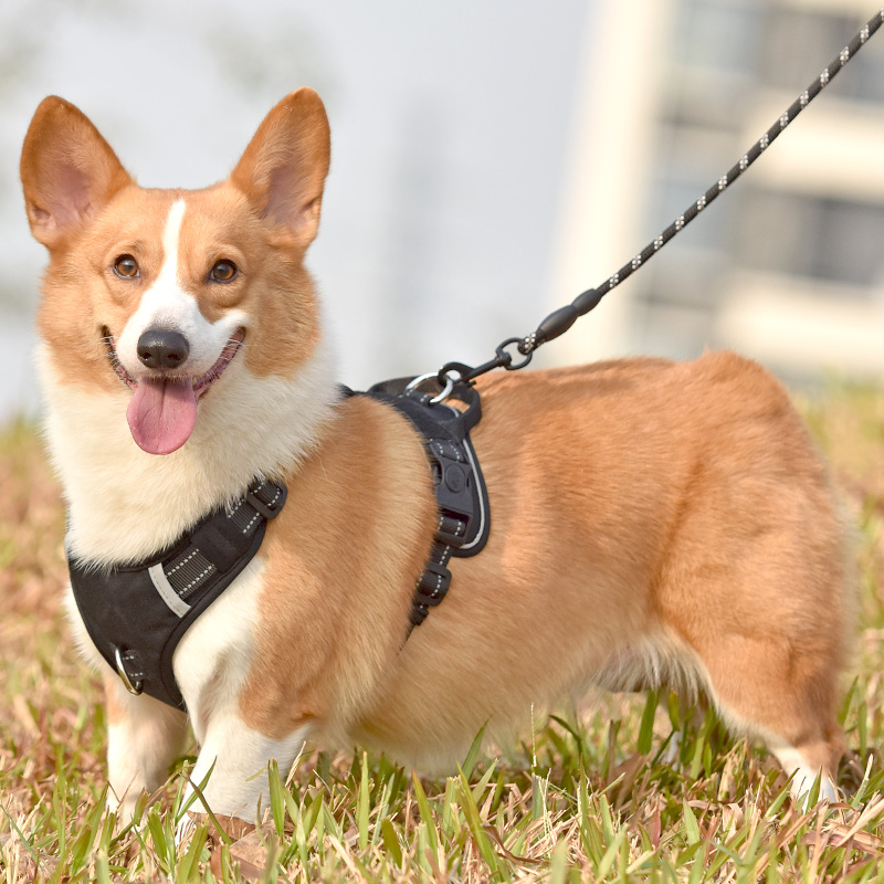犬 ハーネス ペット職人の匠ハーネス