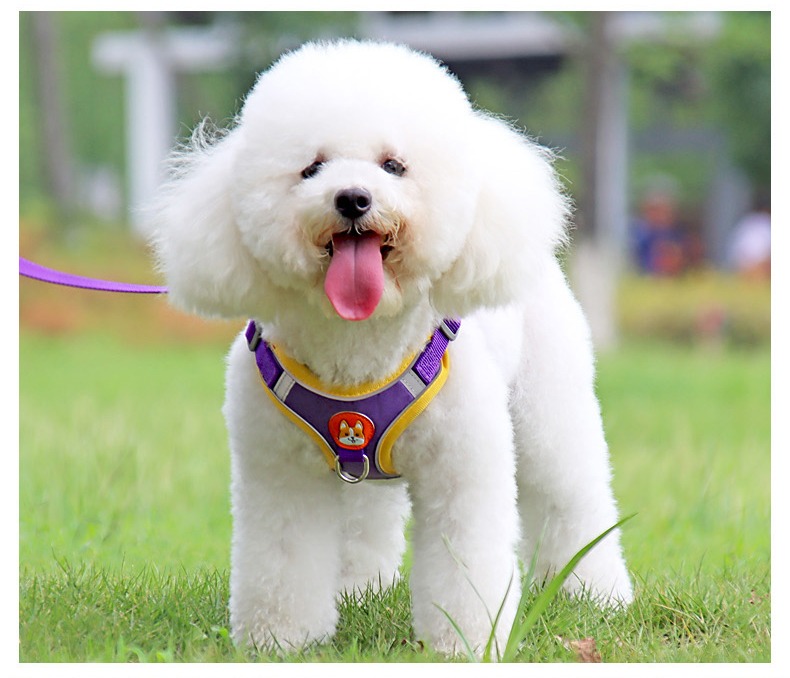 犬 ハーネス やわらか安心ハーネス