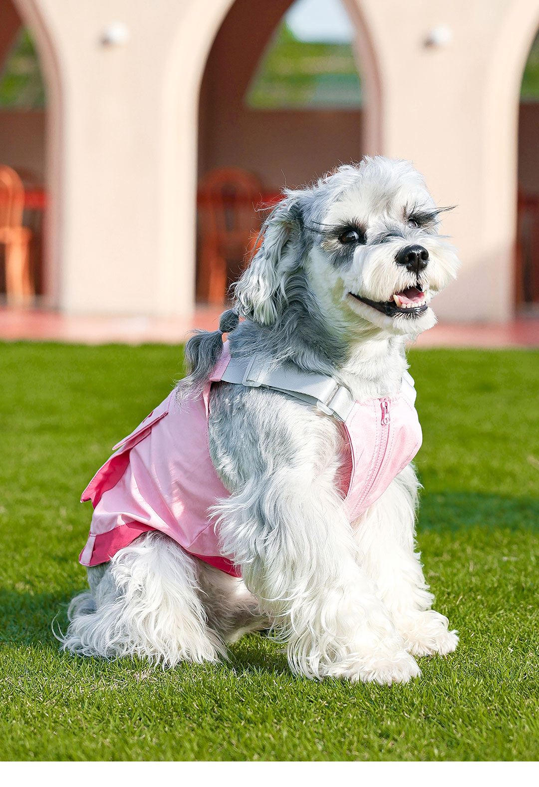 犬 ハーネス プレミアムやすらぎ ドッグハーネス