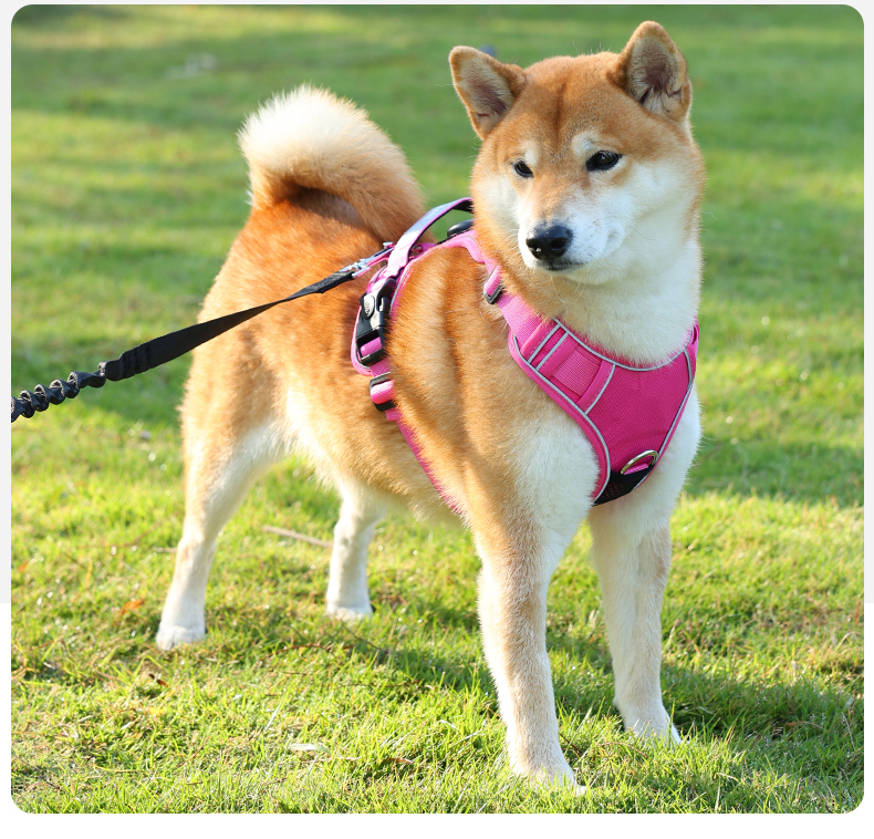 犬 ハーネス やさしフィットハーネス