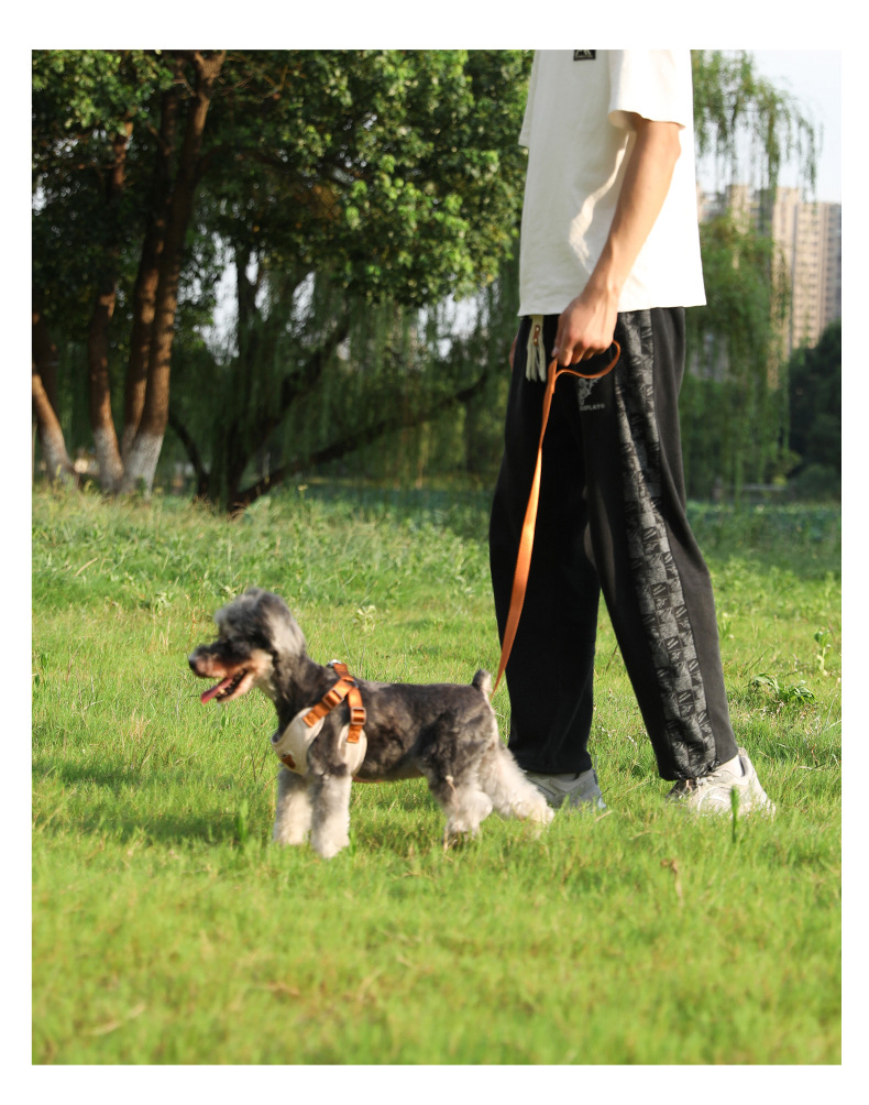 犬 ハーネス 究極の快適さを追求した 匠のハーネス