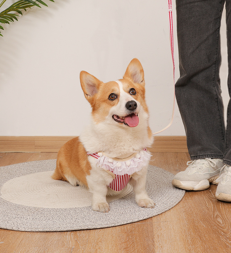 犬 ハーネス ストライプフリル付きハーネス