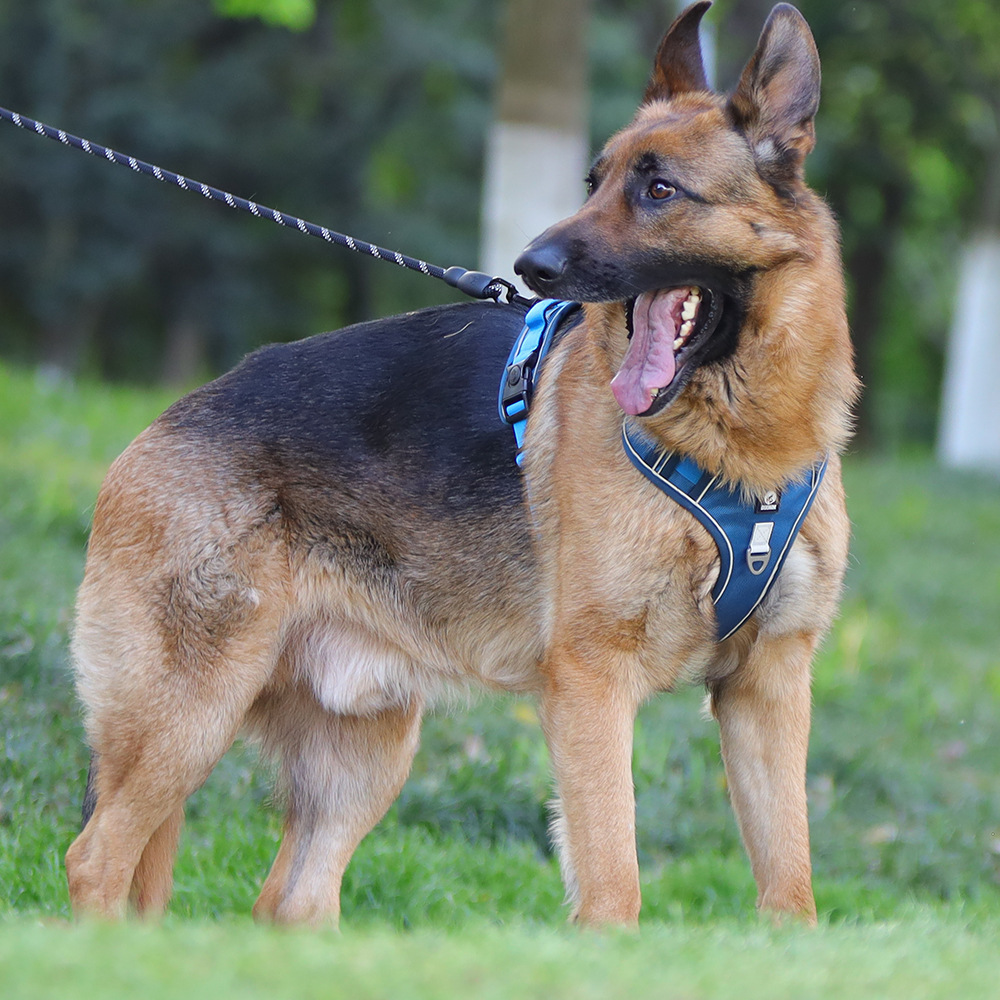 犬 ハーネス なめらかフィット 軽量ハーネス